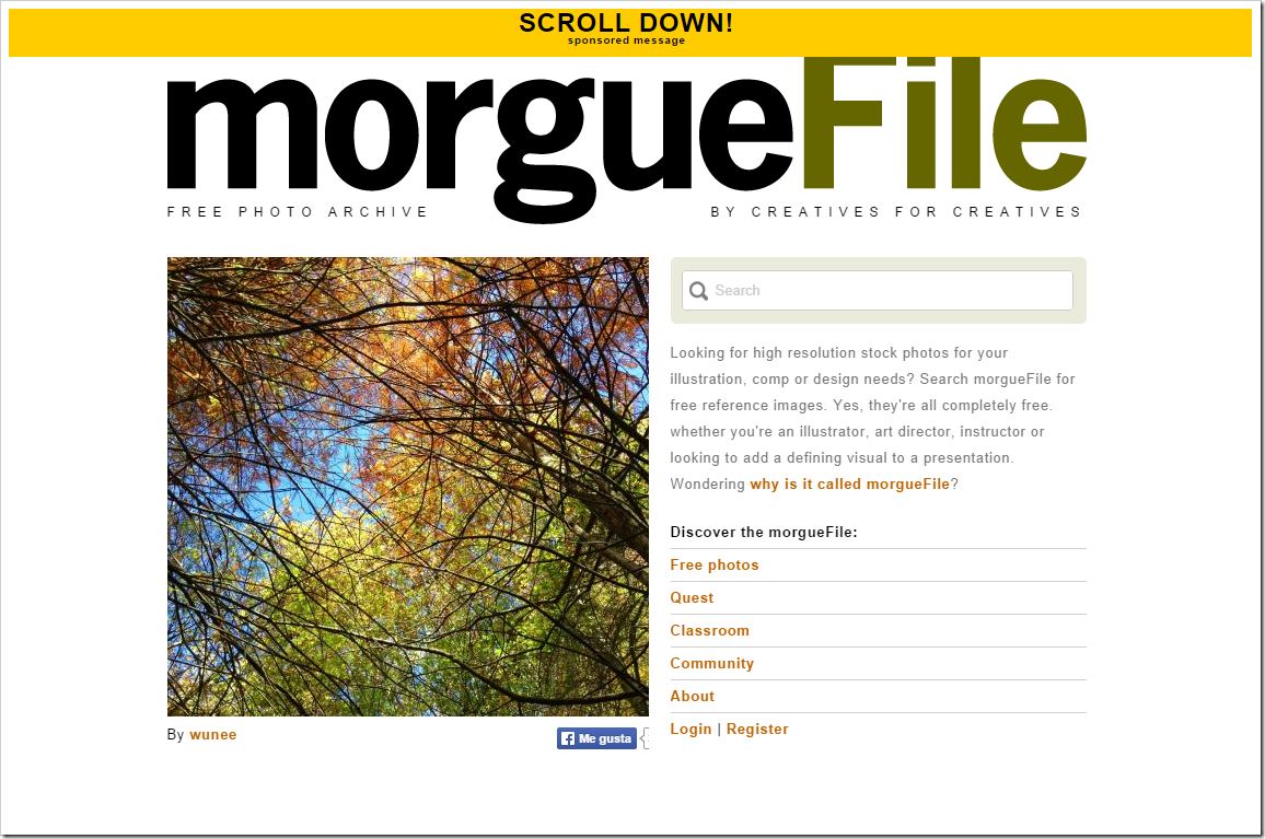 morgue-file