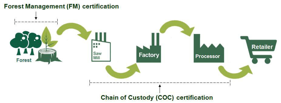 Esta es una imagen de la cadena del Certificado FSC desde la materia prima, hasta el producto final.
